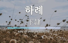 하례 뜻: 예전에, 남의 집에 딸려 천한 일을 하던 사람.