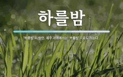 하를밤 뜻: ‘하룻밤’의 방언. 제주 지역에서는 ‘\uf537를밤’으로도 적는다.