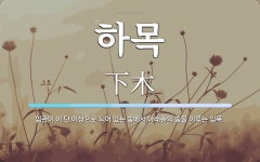 하목 뜻: 임관이 이 단 이상으로 되어 있는 숲에서 아래층의 숲을 이루는 임목.