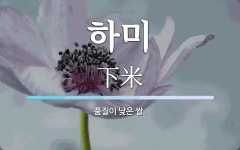 하미 뜻: 품질이 낮은 쌀.