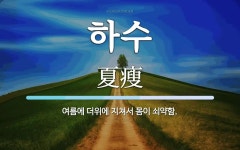 하수 뜻: 여름에 더위에 지쳐서 몸이 쇠약함.