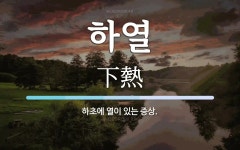 하열 뜻: 하초에 열이 있는 증상.