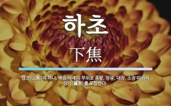 하초 뜻: 삼초(三焦)의 하나. 배꼽 아래의 부위로 콩팥, 방광, 대장, 소장 따위의 장기(臟器)를 하초 뜻... 