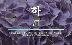 하 뜻: 우리나라 성(姓)의 하나. 본관은 진주(晉州), 단계(丹溪), 진양(晉陽), 경주(慶州) 하 뜻: 우리나라 성(姓)의 하나. 본관은 진주(晉州), 단계... 