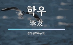 학우 뜻: 같이 공부하는 벗.