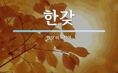 한갖 뜻: ‘한갓’의 북한어.