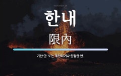 한내 뜻: 기한 안. 또는 제한하거나 한정한 안.