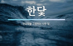 한닻 뜻: 안강망을 고정하는 나무 닻.