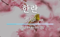 한란 뜻: 추운 겨울에 낳는 달걀.