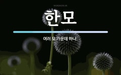 한모기술주 | 한모 뜻: 여러 모 가운데 하나.