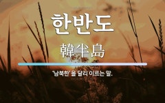 한반도 뜻: ‘남북한’을 달리 이르는 말.