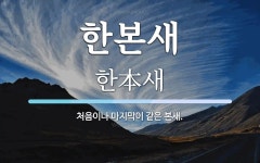 한본새 뜻: 처음이나 마지막이 같은 본새.