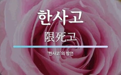 한사고 뜻: ‘한사코’의 방언