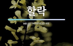 할락 뜻: 숨을 조금 가쁘게 한 번 쉬는 모양.