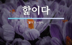 핥이다 뜻: ‘핥다’의 사동사.