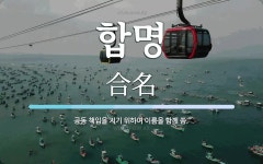 합명 뜻: 공동 책임을 지기 위하여 이름을 함께 씀.