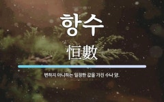 항수 뜻: 변하지 아니하는 일정한 값을 가진 수나 양.