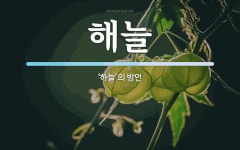 해늘 뜻: ‘하늘’의 방언
