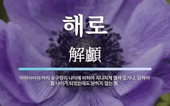 해로 뜻: 어린아이의 머리 숫구멍이 나이에 비하여 지나치게 열려 있거나, 닫혀야 할 나이가 되었는데도