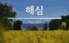 해심 뜻: ‘해삼’의 방언