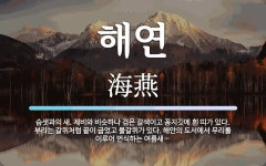 해연 뜻: 슴샛과의 새. 제비와 비슷하나 검은 갈색이고 꽁지깃에 흰 띠가 있다. 부리는 갈퀴처럼 끝이