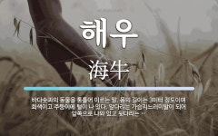 해우 뜻: 바다솟과의 동물을 통틀어 이르는 말. 몸의 길이는 3미터 정도이며 회색이고 주둥이에 털이 해우 뜻: 바다솟과의... 