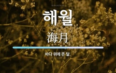 해월 뜻: 바다 위에 뜬 달.
