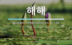 해해 뜻: 입을 조금 벌리고 자꾸 힘없이 싱겁게 웃는 소리. 또는 그 모양.