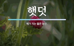 햇덧 뜻: 해가 지는 짧은 동안.