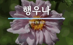 행우나 뜻: ‘행여나’의 방언