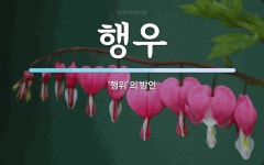 행우 뜻: ‘행위’의 방언