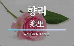 향리 뜻: 자기가 태어나서 자란 곳.