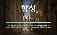 향성 뜻: 고착 생활을 하는 동물의 어떤 부분이 외부의 자극에 일정한 방향으로 움직이는 성질. 자극의