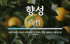 향성 뜻: 사람의 흥미나 관심이 어떤 방향으로 향하는 성질. 외향성과 내향성으로 구분한다.