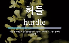 허들 뜻: ‘허들’을 뛰어넘어 달리는 육상 경기. 남자 110미터, 400미터 종목이 있다.