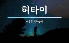 허타이 뜻: ‘허투루’의 북한어.