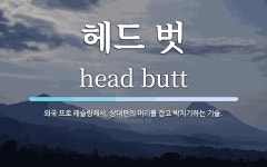 헤드 벗 뜻: 외국 프로 레슬링에서, 상대편의 머리를 잡고 박치기하는 기술. 헤드 벗 뜻: 외국 프로 레슬링에서, 상대편의 머리를 잡고 박치기하는... 
