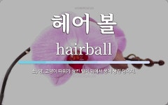 헤어 볼 뜻: 소, 양, 고양이 따위가 삼킨 털이 위에서 뭉쳐 생긴 덩어리.
