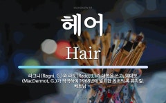 헤어 뜻: 라그니(Ragni, G.)와 라도(Rado, J.)가 대본을 쓰고, 맥더모(MacDermo