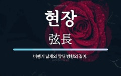 현장 뜻: 비행기 날개의 앞뒤 방향의 길이.