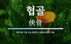 협골 뜻: 장부다운 기골. 또는 호방하고 의협심이 강한 기골.