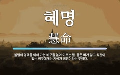 혜명 뜻: 불법의 명맥을 이어 가는 비구를 높여 이르는 말. 들은 바가 많고 식견이 있는 비구에게는 혜명 뜻: 불법의 명맥을 이어 가는... 