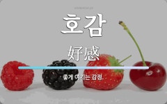 호감 뜻: 좋게 여기는 감정.