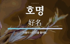 호명 뜻: 이름이 나는 것을 좋아함.