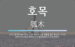 호목 뜻: 고려 고종 때 유행하였던 노래. 백성의 노동 생활을 읊은 동요로, 가사는 전하지 아니하고 호목 뜻: 고려 고종... 