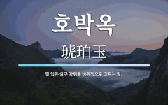 호박옥 뜻: 잘 익은 살구 따위를 비유적으로 이르는 말.