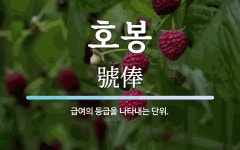 호봉 뜻: 급여의 등급을 나타내는 단위.