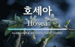 호세아 뜻: 이스라엘의 마지막 왕. 재위 기간은 B.C.733~B.C.722년이다.