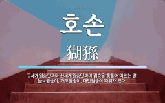 호손 뜻: 구세계원숭잇과와 신세계원숭잇과의 짐승을 통틀어 이르는 말. 늘보원숭이, 개코원숭이, 대만원