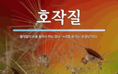 호작질 뜻: 쓸데없이 손을 놀려서 하는 장난. ⇒규범 표기는 ‘손장난’이다.